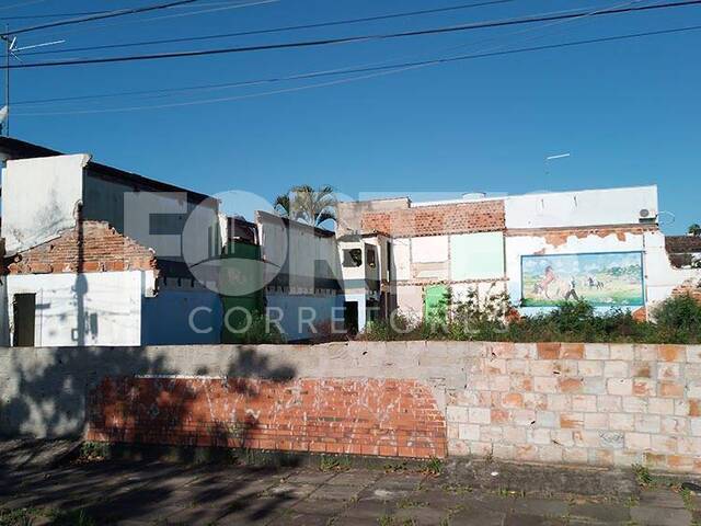 Terreno para Venda em São Leopoldo - 4